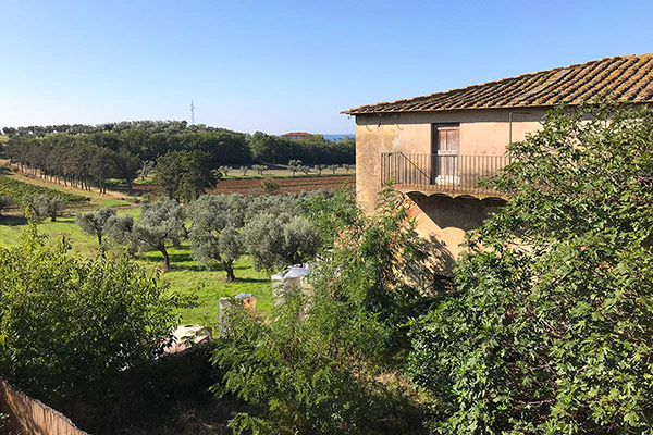 Costa degli Etruschi - Vignale - Maisons individuelles