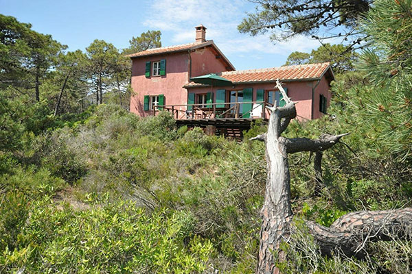 Castiglione della Pescaia - Villa en bord de mer